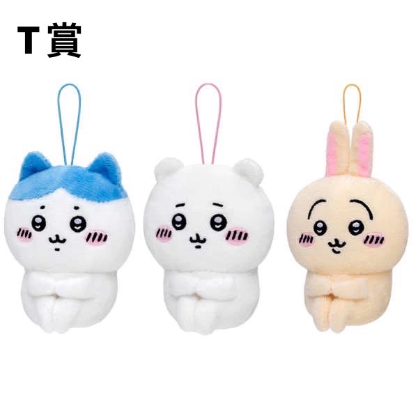 S 38117943 0 S 38117943 0