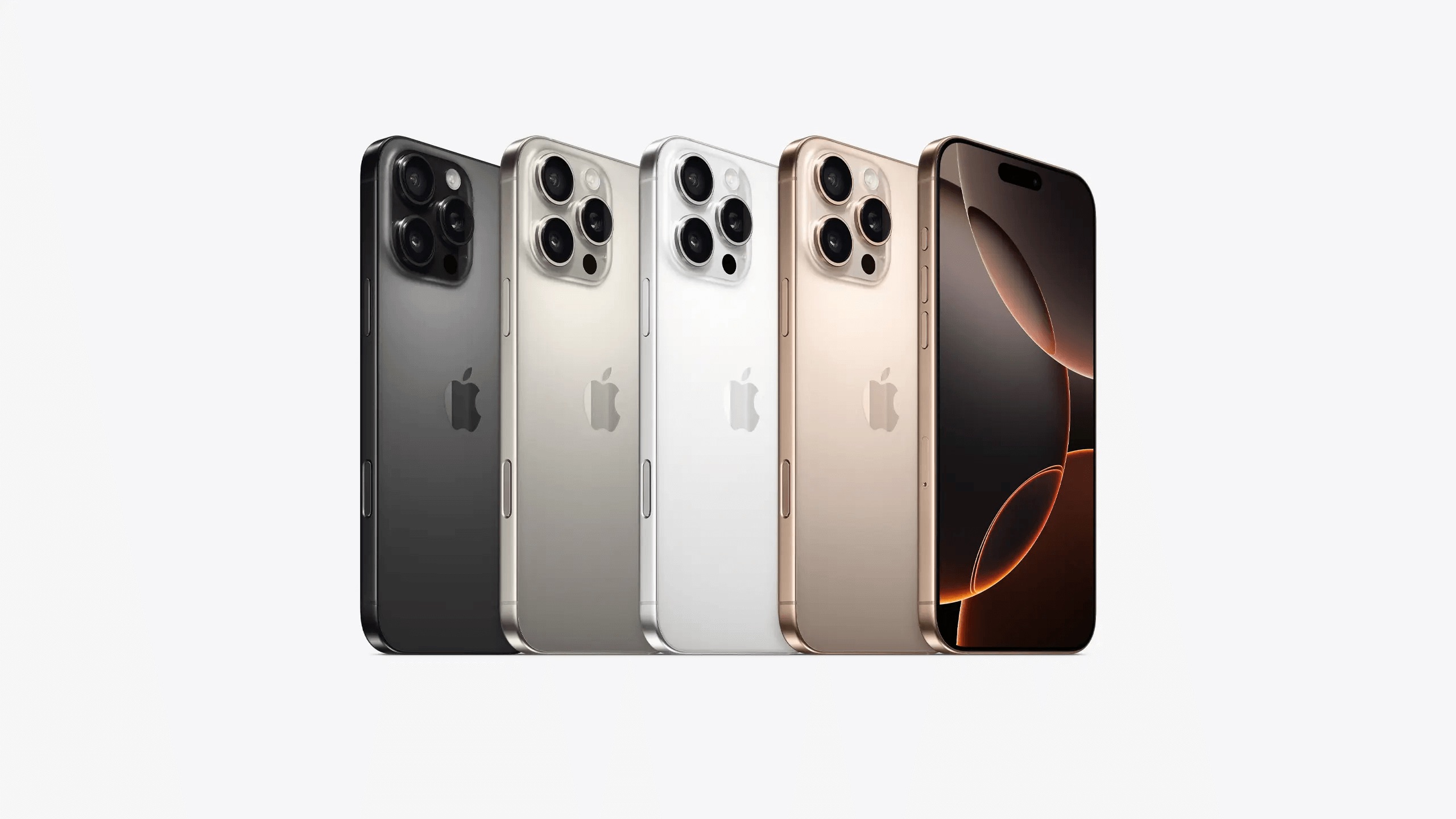 S 31088646 S 31088646