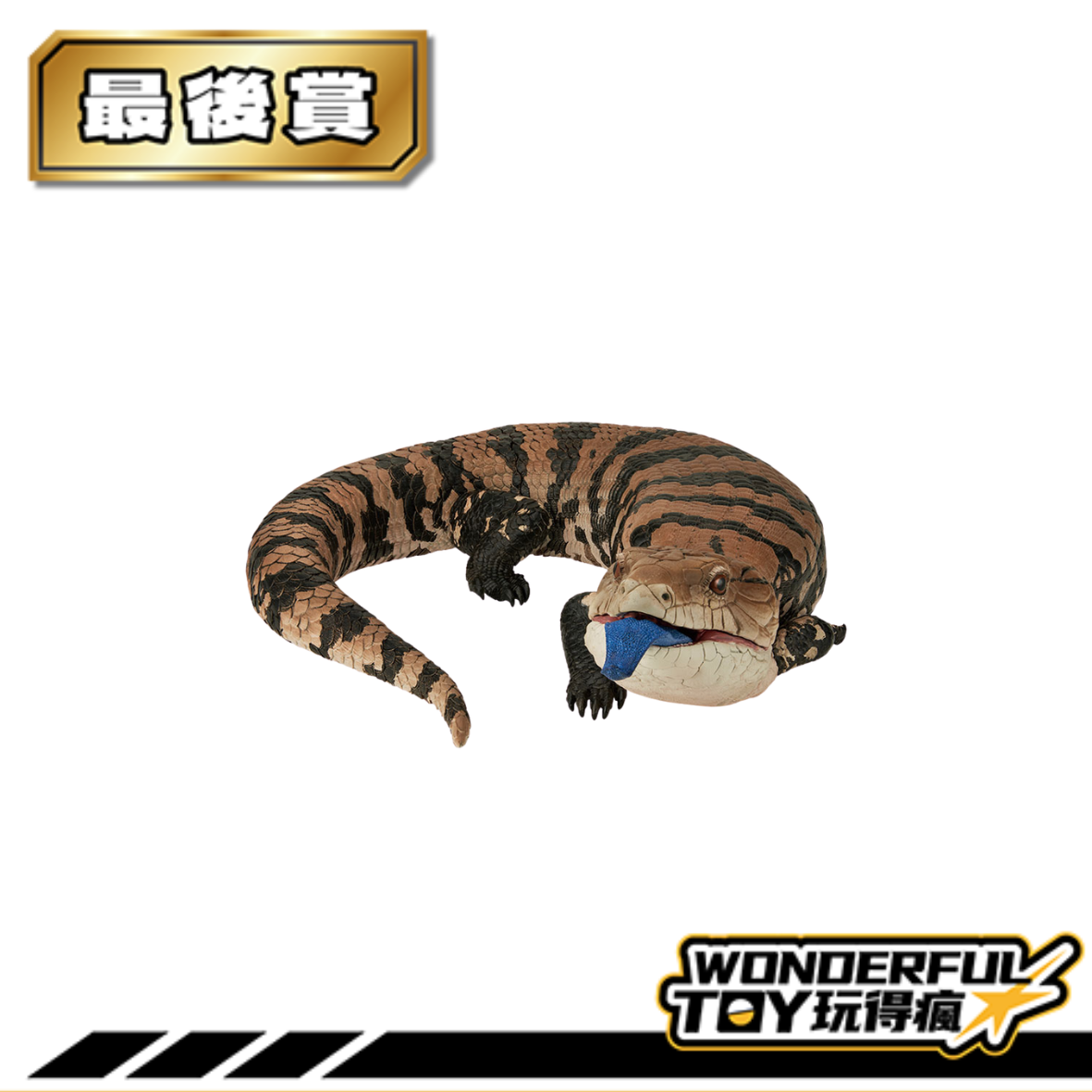 海棲哺乳類大全 海棲哺乳類大全 海洋哺乳動物- 維基百科，自由的百科全書