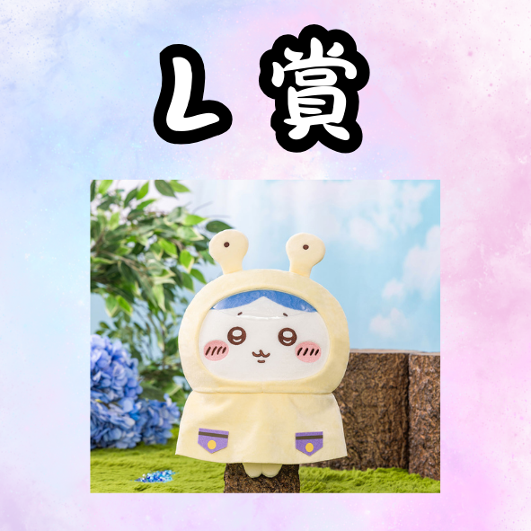 L 賞 L 賞