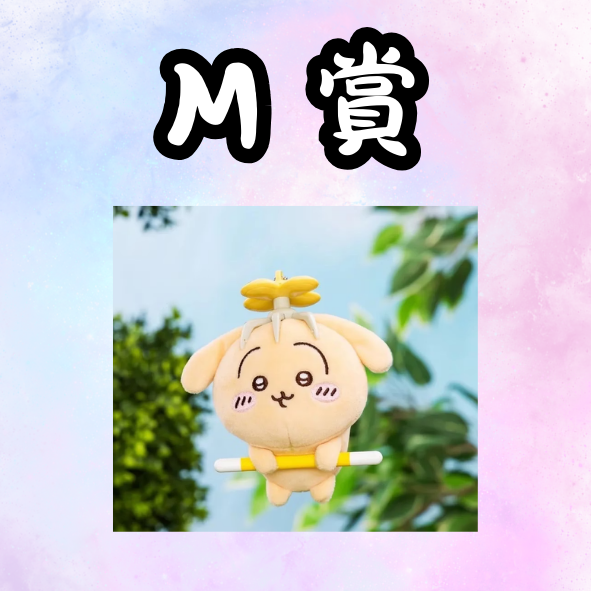 M 賞 M 賞