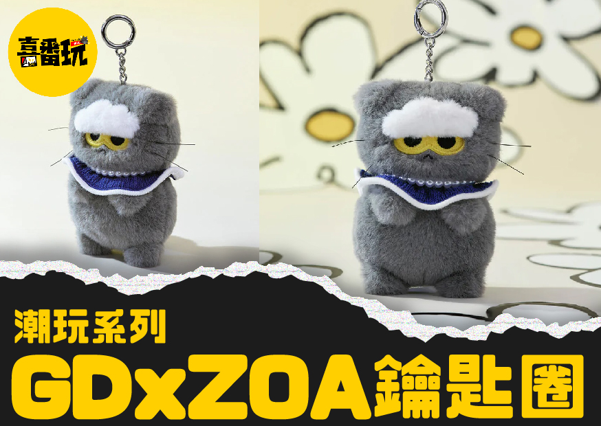 Zoa 工作區域 1 0