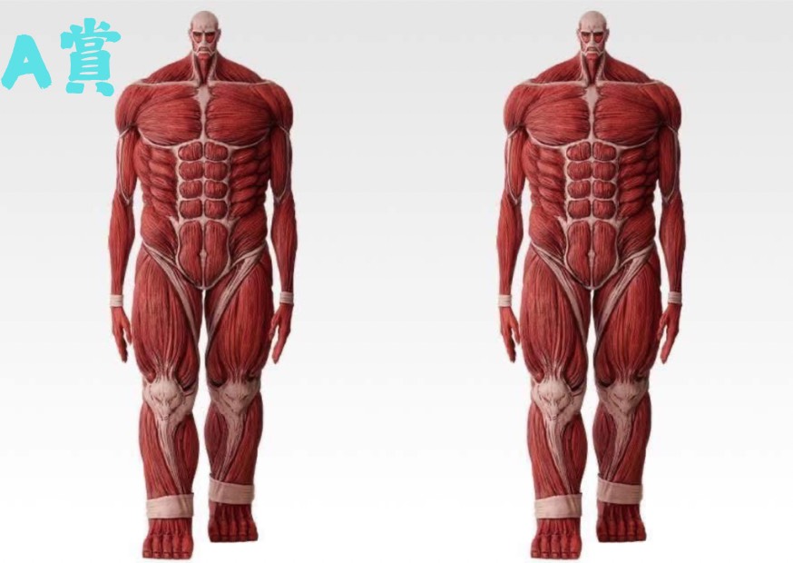 S 8716464 0 S 8716464 0