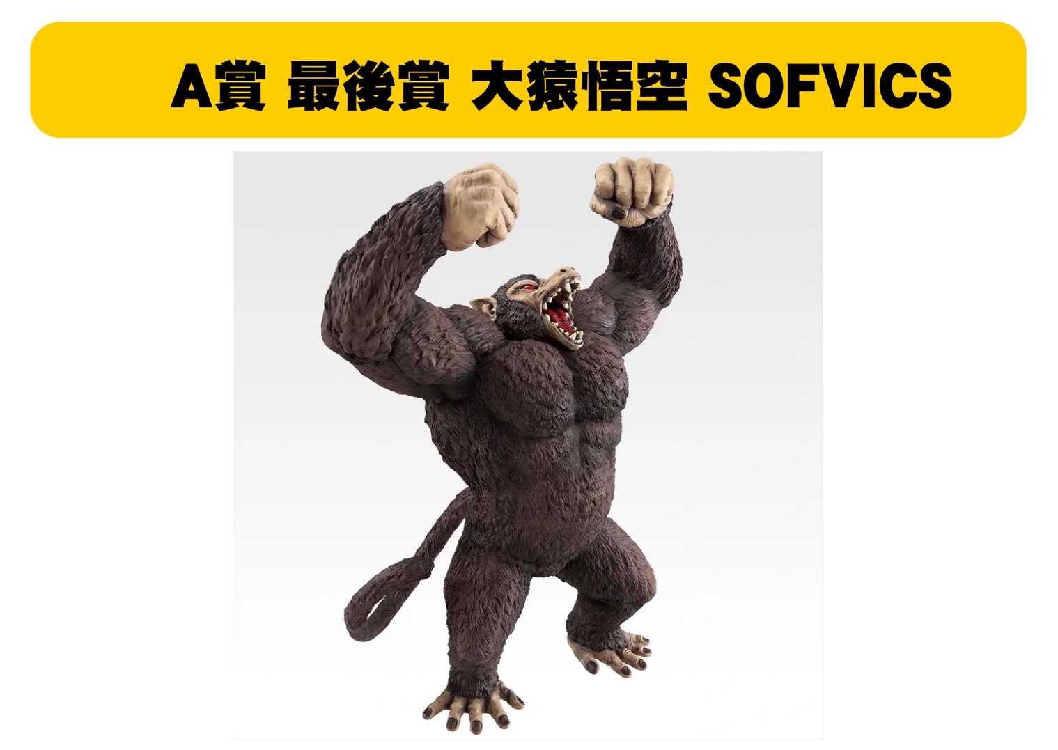 S 48554002 0