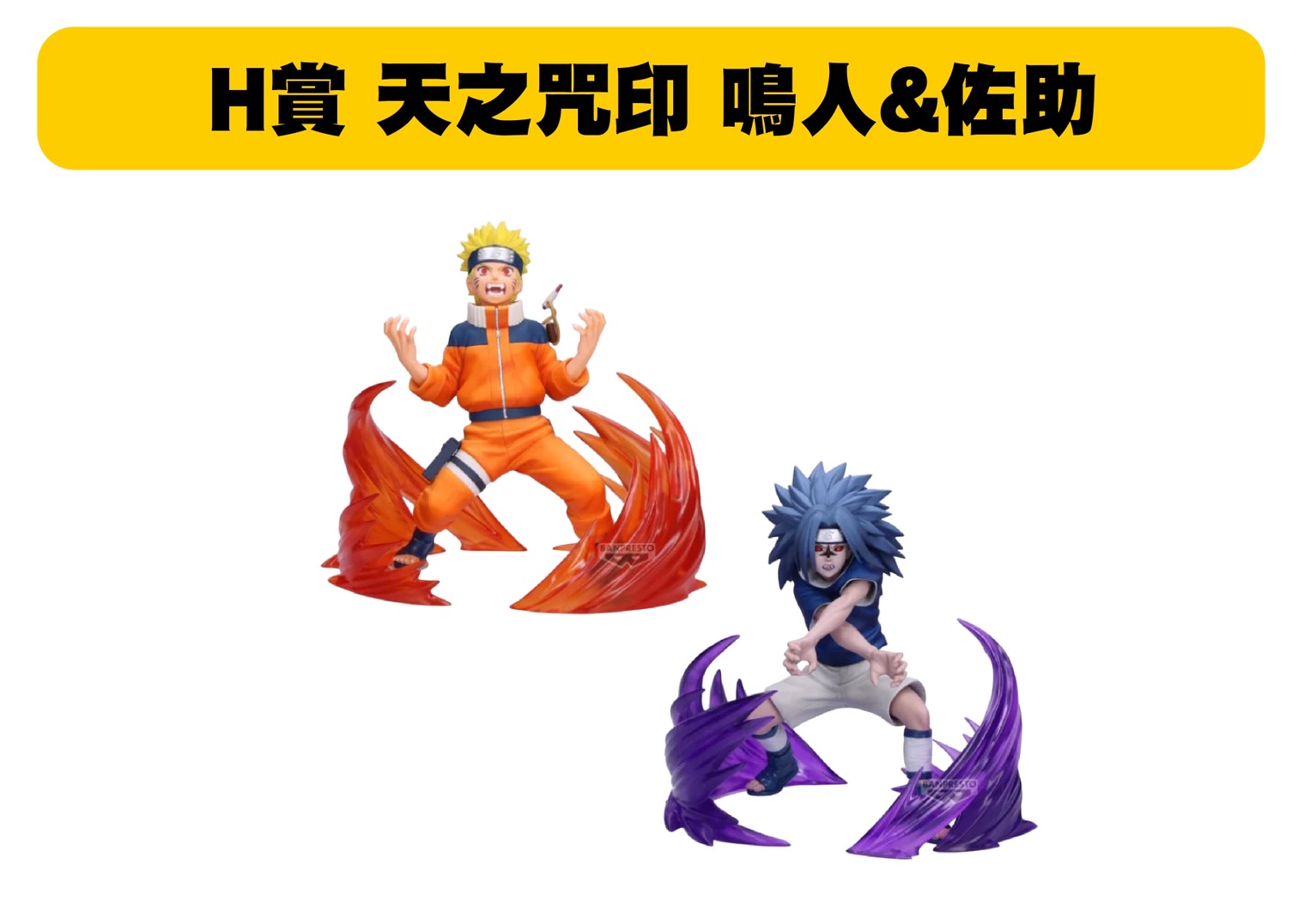 S 48955503 0 S 48955503 0