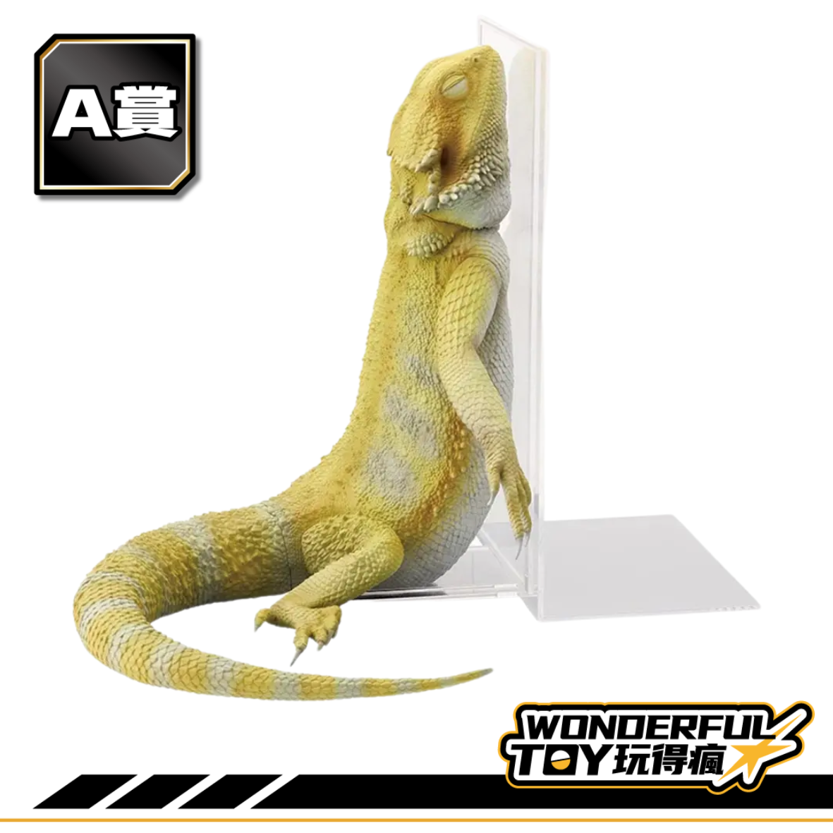 A A