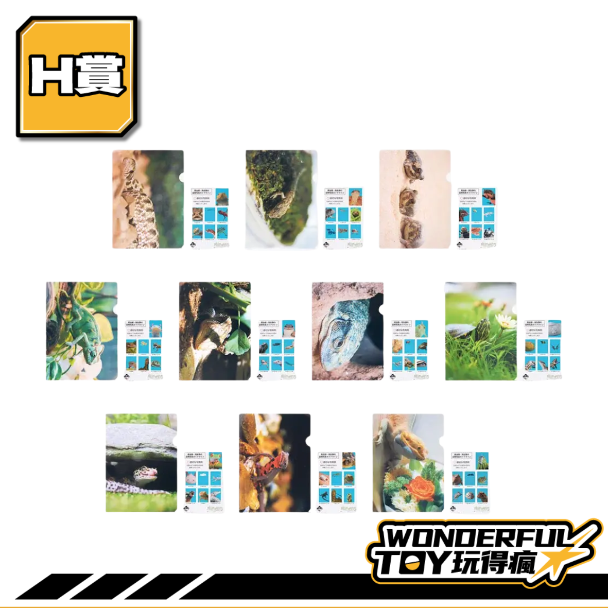 H H