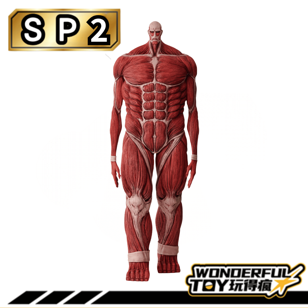 Sp2 2