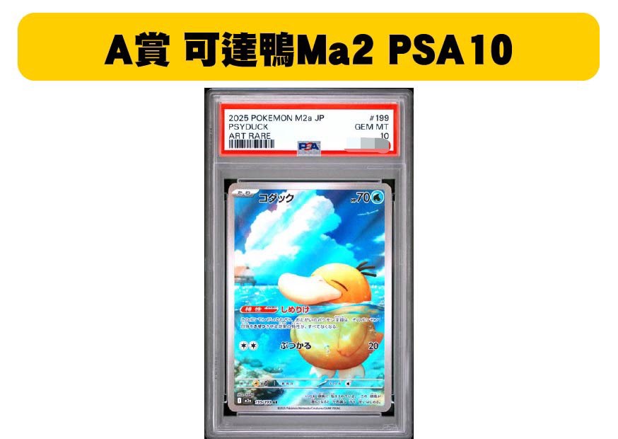 S 55017603 0 S 55017603 0