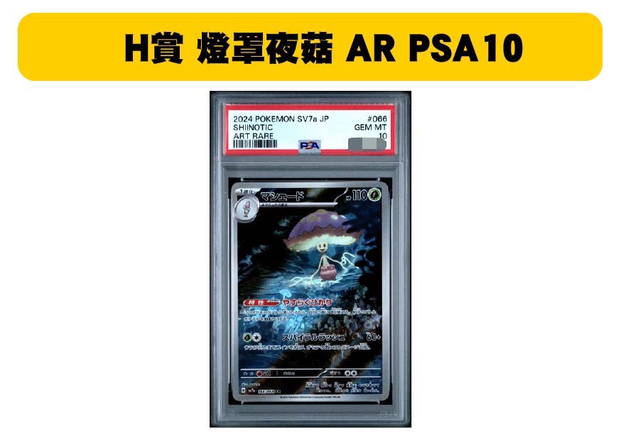 S 55099615 0 S 55099615 0
