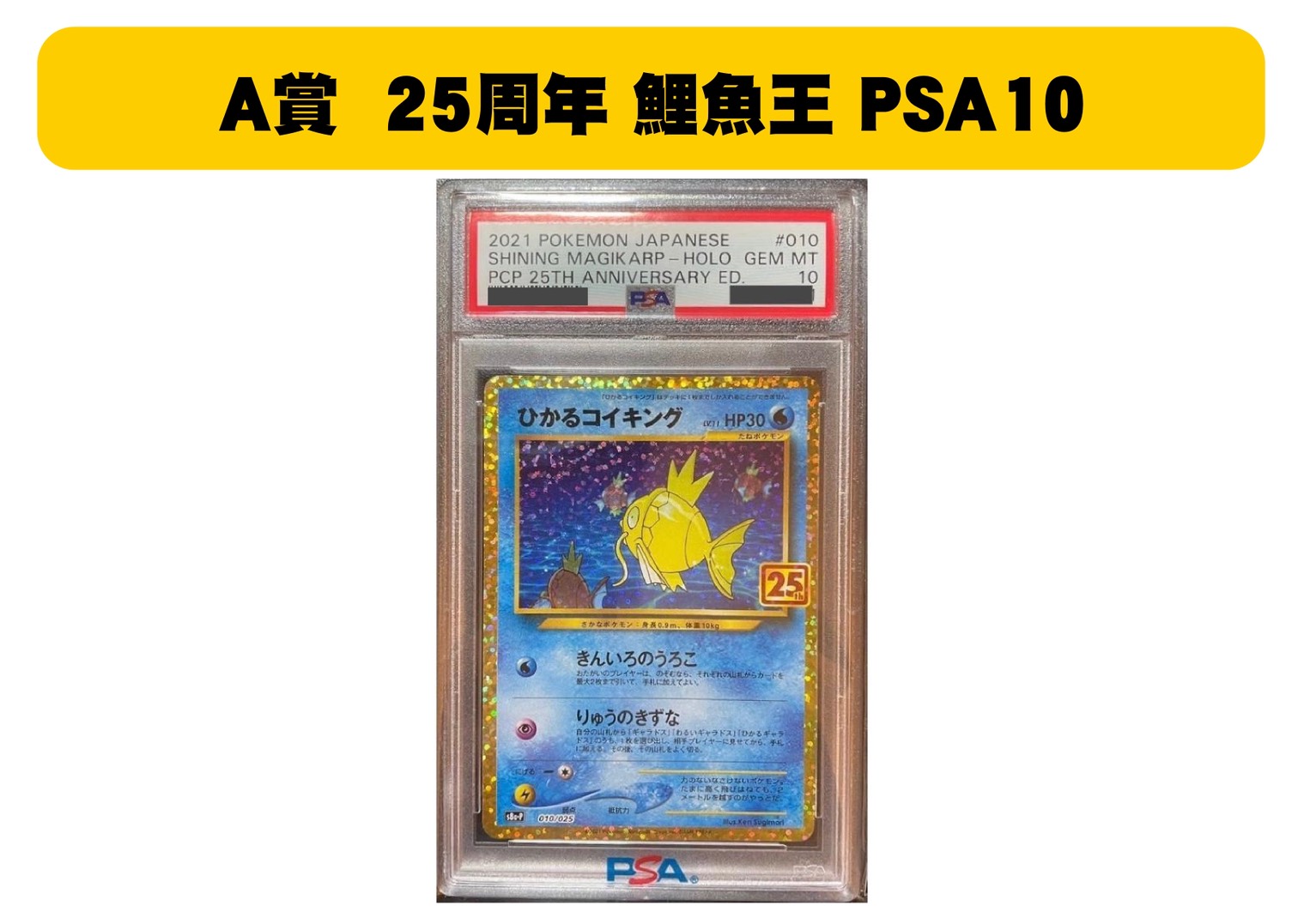 S 65519705 0 S 65519705 0