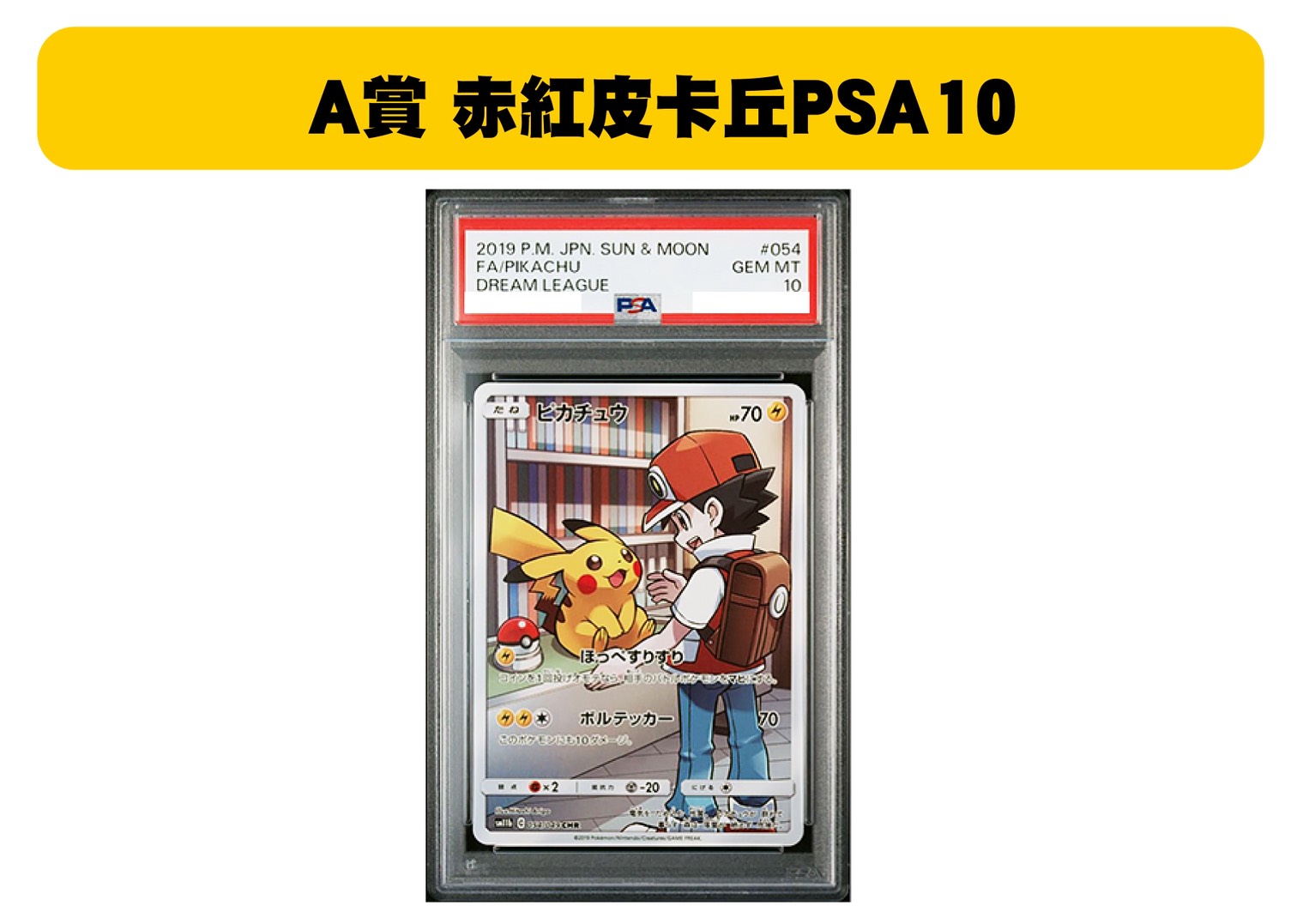 S 65527834 0 S 65527834 0